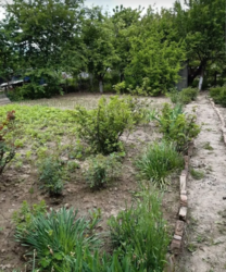 ������ �������� ������ �� ������� �������� �� ���. ����� �����, ����� 5 ����� ���� 2