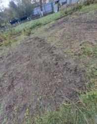 ������ �������� ������ ���� 5