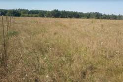 ������ �������� ������ ��������������������� �����������, ����� 0.06 �� ���� 4