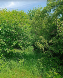 ������ �������� ������ ��������������������� �����������, ����� 5.2 ����� ���� 3