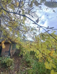 ������ �������� ������ ���� 2