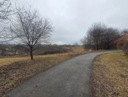 ������ �������� ������(�� �����������) 24 �. �. �������� ���� 1