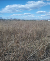 ������ �������� ������ �� ������� ��������, ����� 6 ����� ���� 1