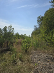 ������ �������� ������ ��������������������� �����������, ����� 8 ����� ���� 4