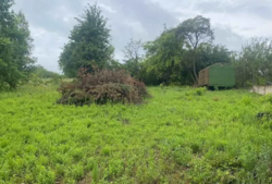 ������ �������� ����� ���� 3