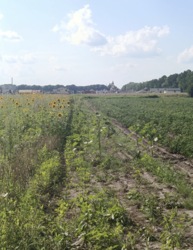 ������ �������� ������ ���� 3