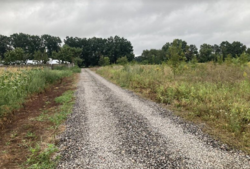 ������ �������� ������ �� ������� �������� �� 1-� ����. ���������, ����� 8 ����� ���� 1