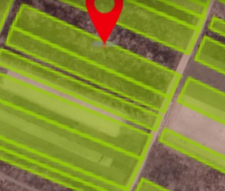 ������ �������� ������ ��������������������� ����������� �� ���� ���������, ����� 25 ����� ���� 3