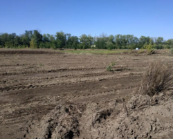 ���������� �� �������� ������ �� 8 ��� ���� 3