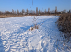 ������ ������ �� �������� � �������. ���� 6