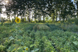 ������ �������� ������ �� ������� ��������, ����� 8 ����� ���� 1