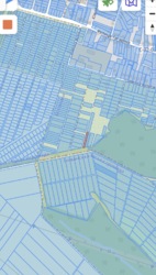 �������� ������ �. �������� ���� 1