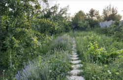 ������ �������� ������ �� ������� �������� �� ���. ����������� 37, ����� 10 ����� ���� 2