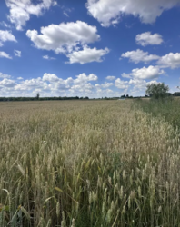 ������ �������� ������ �� ������� ��������, ����� 12 ����� ���� 1