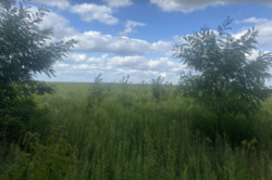 ������ �������� ������ �� ������� ��������, ����� 6 ����� ���� 2