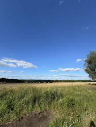 ĳ����� 15 ����� ������ ���� 5