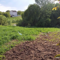 ������ �������� ������ �� ������� �������� � ��� ³������ ������, ³������� ������, ���������� ������, ����� 19 ����� ���� 1