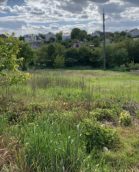 ������ �������� ������ �� ������� ��������, ����� 13 ����� ���� 4