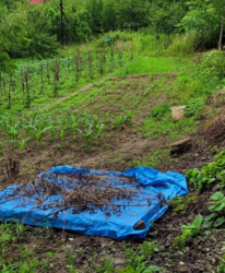 ������ �������� ������ ��������������������� �����������, �� ���. ������, ����� 7.8 ����� ���� 2