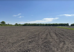 ������ �������� ������ ��������������������� ����������� �� 3-� ����. �������, ����� 1.4061 �� ���� 2