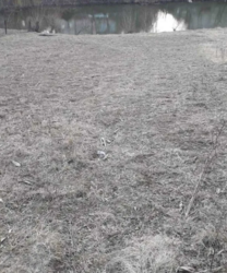 ������ �������� ������ �� ������� �������� �� 1-� ����. ������������� ���� ���� 2