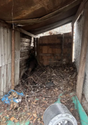 ������ ������ � ��������. �ʼ�������� ���� 2