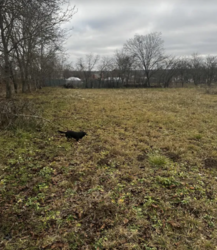 ������ �������� ������ �� ������� �������� �� ���. �����. ��� ������� ���� 2