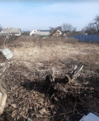 ������ �������� ������ �� ������� �������� �� ���. �������� ������������ 25, ����� 0.1135 ����� ���� 1