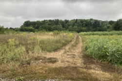 ������ �������� ������ �� ������� �������� �� 1-� ����. ���������, ����� 8 ����� ���� 3