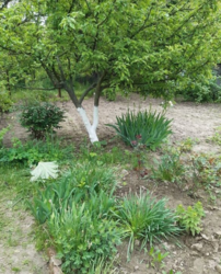 ������ �������� ������ �� ������� �������� �� ���. ����� �����, ����� 5 ����� ���� 1