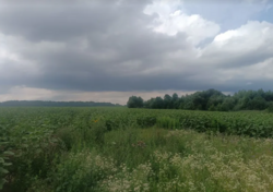 ������ �������� ������ ��������������������� �����������, ����� 1.3 �� ���� 2