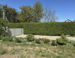 �������� ������ � ³����� 6,89 �����, 100 ���. ������, ���� ���� 4