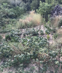 ������ �������� ������ �� ������� �������� �� ���. ������������, ����� 5 ����� ���� 2