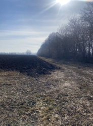 ������ ���� ���� 4