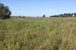 ������ �������� ������ �� ������� ��������, ����� 8 ����� ���� 5