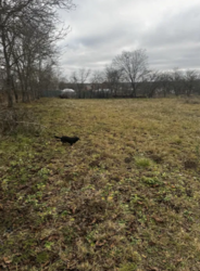 �������� ������ ���� 3