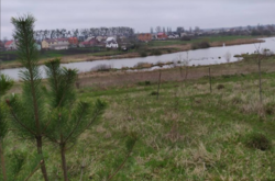 ������ �������� ������ ��������������������� �����������, ����� 9 ����� ���� 1