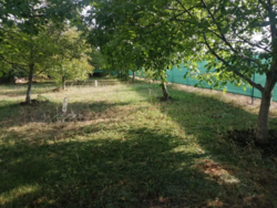 �������� 11 �����,�� �������� ���� 2