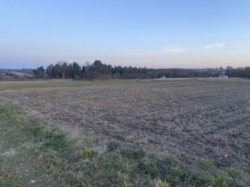 ������ �������� ������ ���� 1