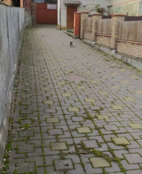 ������ �������� ������ �� ������� �������� �� ���. ����� ������, ����� 10 ����� ���� 2