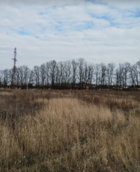 ������ �������� ������ ��������������������� �����������, ����� 8.5 ����� ���� 4