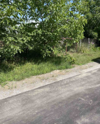 ������ �������� ������ �� ������� �������� �� ���. ������ ���������, ����� 15 ����� ���� 1