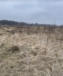 ������ �������� ������ �� ������� ��������, ����� 8 ����� ( ����������� ����������) ���� 2