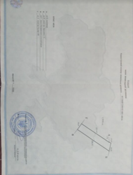 ������ �������� ������ ��������������������� �����������, �� ���� ����������, ����� 1600 ����� ���� 1