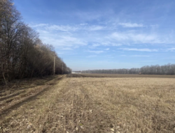 ������ ���� ���� 2