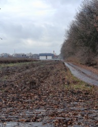 ������ �������� ������ ���� 1