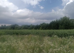 ������ ������ �� ���������� � ��������. ���� 4