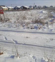 ������ �������� ������ �� ������� �������� ���� 5