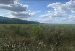 ������ �������� ������ �� ������� ��������, ����� 6 ����� ���� 3