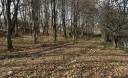 ������ �������� ������ ���� 3